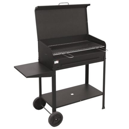 Mille Etna - Handgefertigter Eisen-Holzkohlegrill - 77,5x47cm