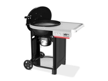 Weber Performer - Holzkohlegrill