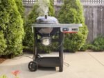 Weber Performer Smart - Holzkohlegrill - Grillrost 57 cm