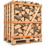Brennholz Esche 30–33 cm, kammergetrocknet – 1 RM